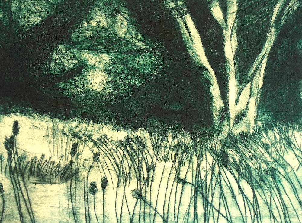 Sunlight & Shade * Drypoint