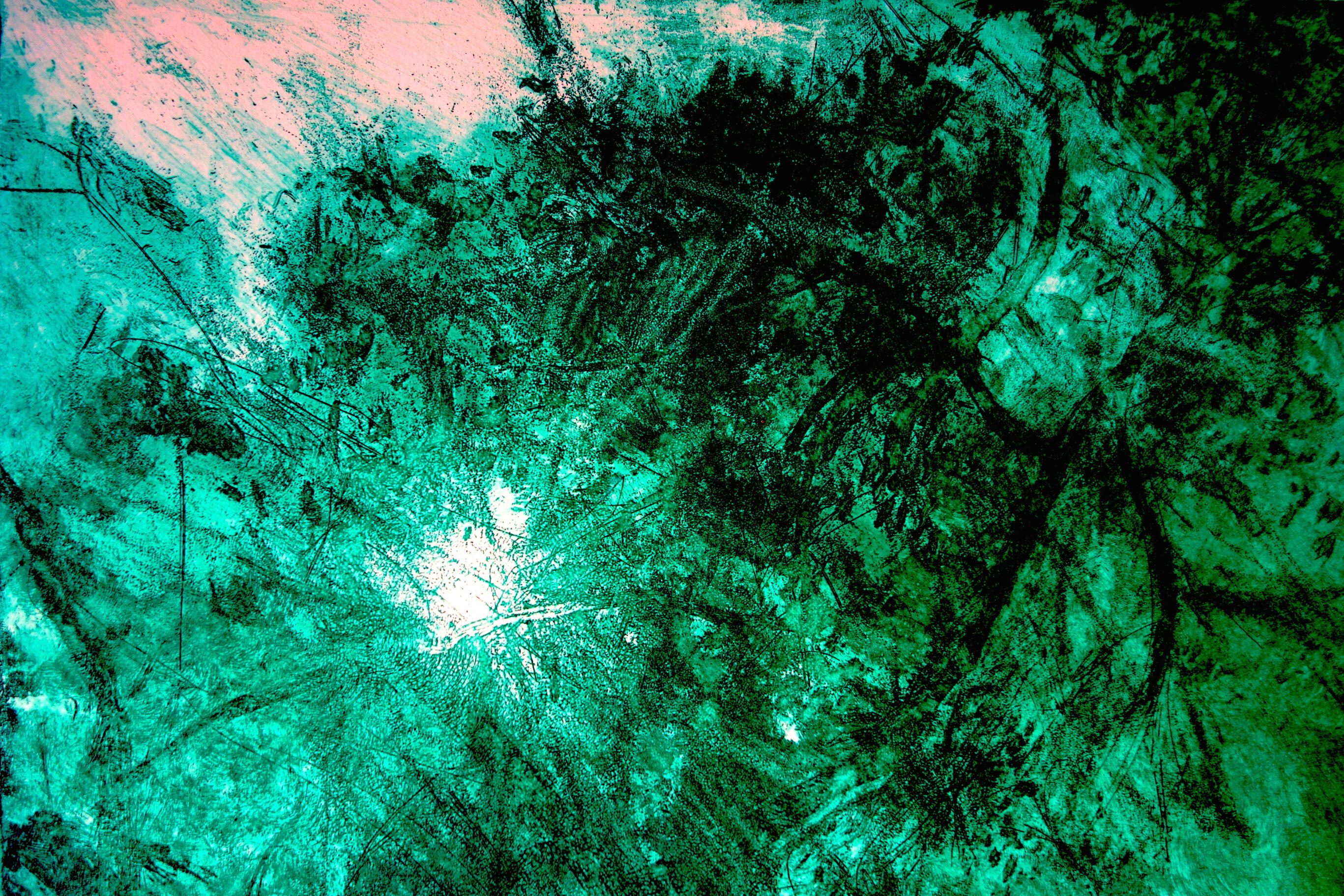 Sunlight in the trees * Mixed Media Etching